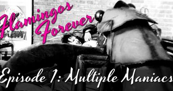 FF01 – Multiple Maniacs – Flamingos Forever ff-thumbnail-mm