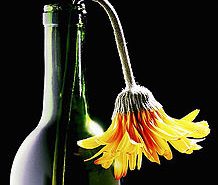 A Bouquet of Oopsy-Daisies – Poor Choices & Hurt Feelings at a Swingers Club