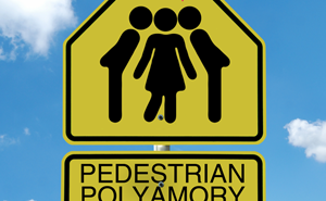 Special – Pedestrian Polyamory Begins – Meeting Gavin Katz: The Truth about Polyamory for Boys Pedestrian Polyamory - The Polyamory and Non-Monogamy Podcast