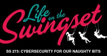SS 273: Cybersecurity for our Naughty Bits, aka: Bring on 2017