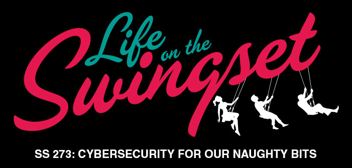 SS 273: Cybersecurity for our Naughty Bits, aka: Bring on 2017